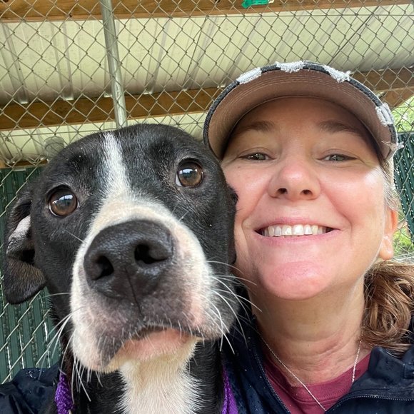 Meet your Posher, Kristi - Picture 7 of 13